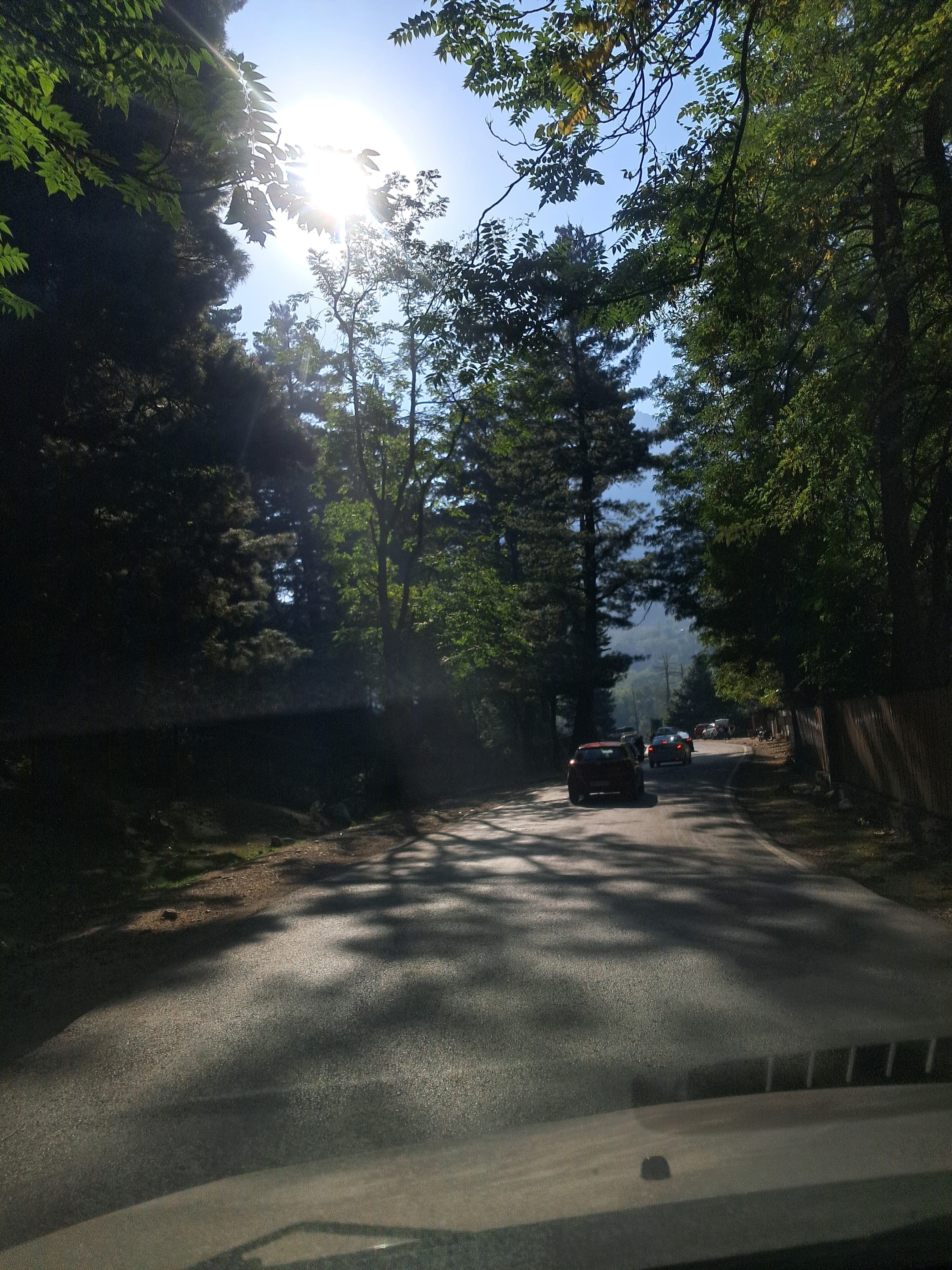 Way to Srinagar. Love the way the sunlight is playing hide and seek through the trees