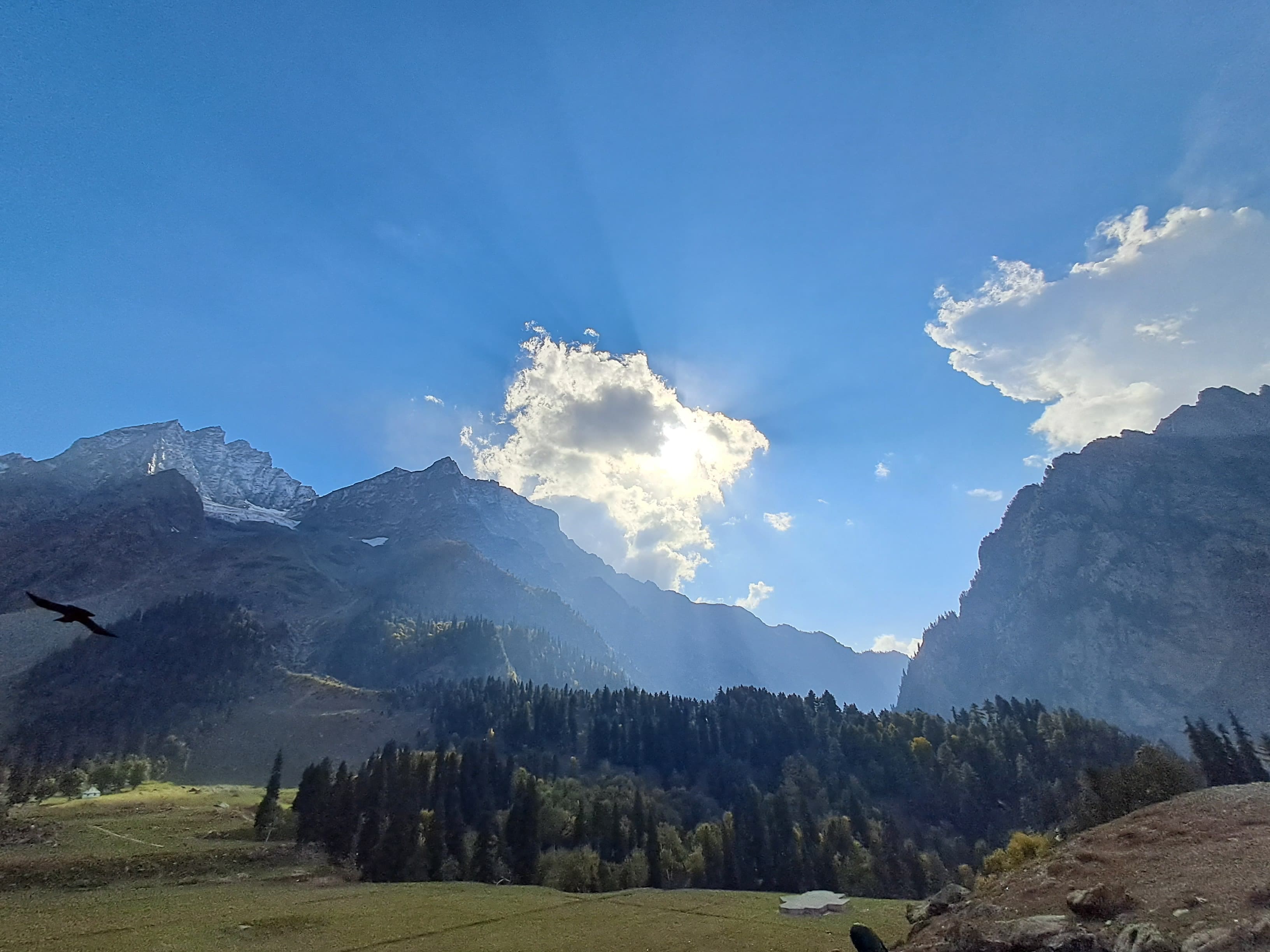 On the trek path to Thajivas Glacier, Sonamarg. October 2024