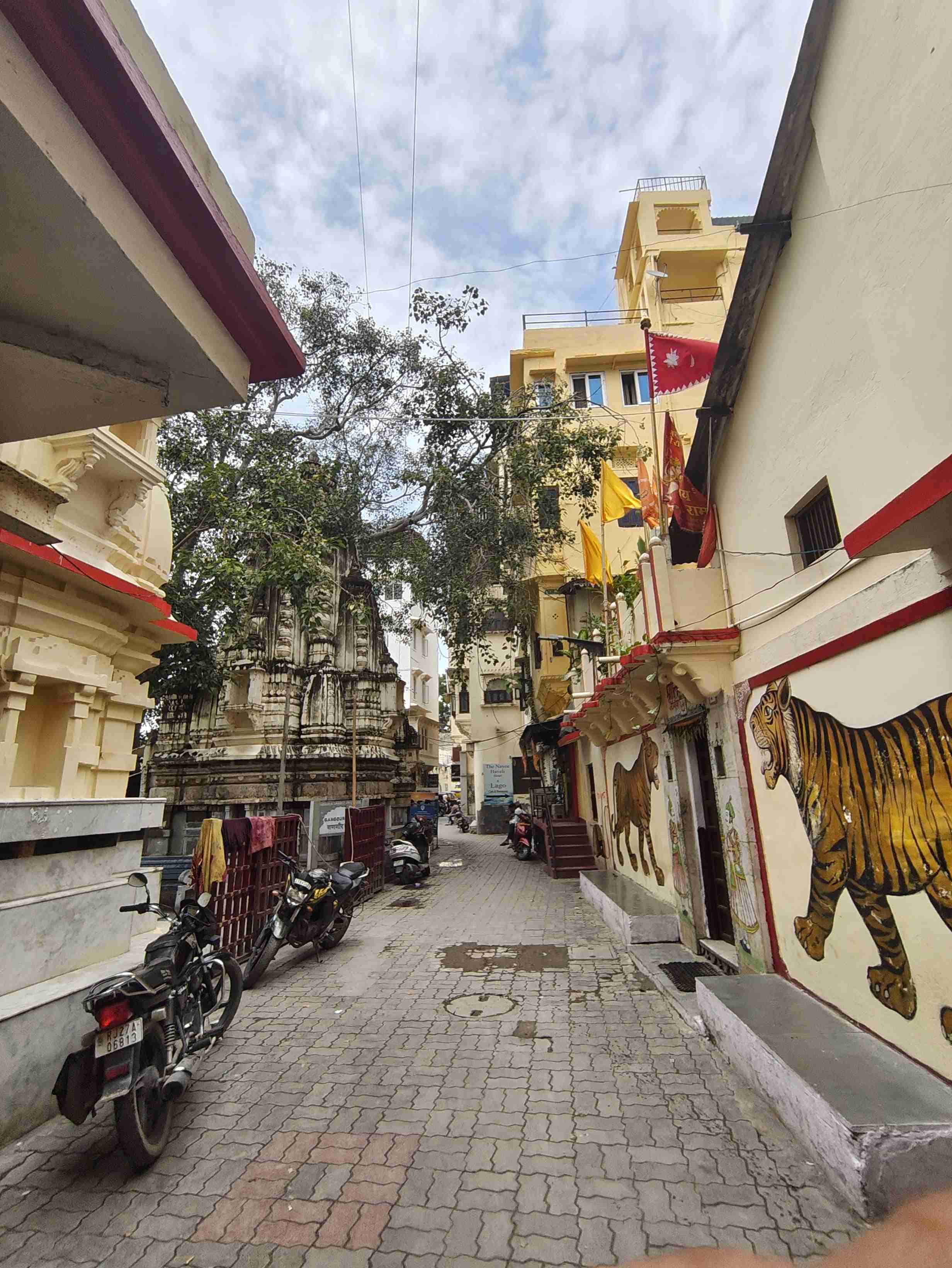 Through the Lanes of The City. Udaipur ‘25